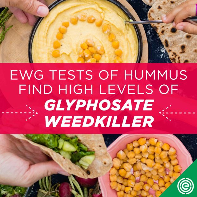 EWG在Hummus发现甘育苷